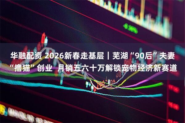 华融配资 2026新春走基层｜芜湖“90后”夫妻“撸猫”创业  月销五六十万解锁宠物经济新赛道