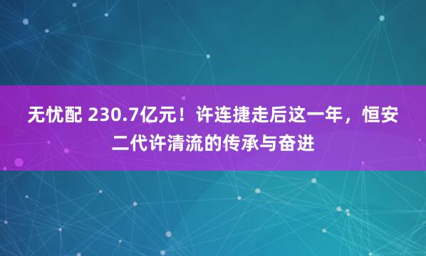 无忧配 230.7亿元！许连捷走后这一年，恒安二代许清流的传承与奋进