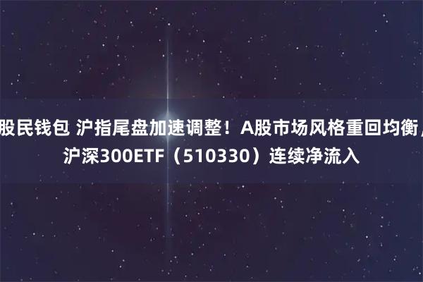 股民钱包 沪指尾盘加速调整！A股市场风格重回均衡，沪深300ETF（510330）连续净流入