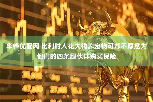华锋优配网 比利时人花大钱养宠物可却不愿意为他们的四条腿伙伴购买保险