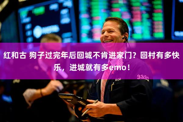红和古 狗子过完年后回城不肯进家门?回村有多快乐,进城就有多emo!
