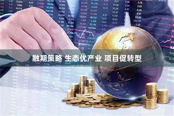 融期策略 生态优产业 项目促转型
