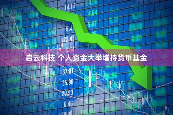 启云科技 个人资金大举增持货币基金