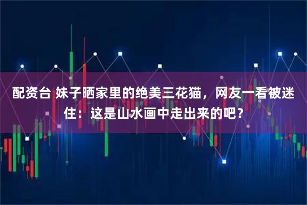 配资台 妹子晒家里的绝美三花猫,网友一看被迷住:这是山水画中走出来的吧?