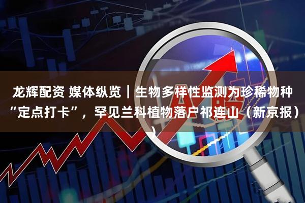 龙辉配资 媒体纵览｜生物多样性监测为珍稀物种“定点打卡”，罕见兰科植物落户祁连山（新京报）