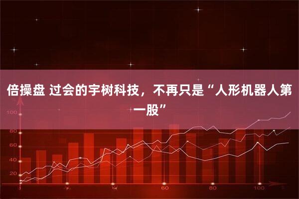 倍操盘 过会的宇树科技，不再只是“人形机器人第一股”
