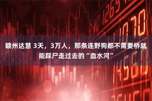 赣州达慧 3天，3万人，那条连野狗都不需要桥就能踩尸走过去的“血水河”