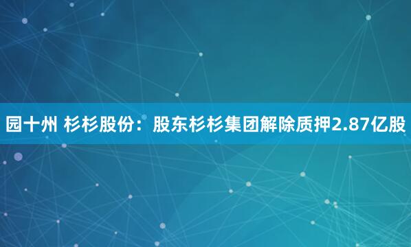 园十州 杉杉股份：股东杉杉集团解除质押2.87亿股