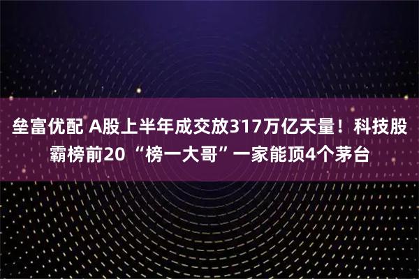 垒富优配 A股上半年成交放317万亿天量！科技股霸榜前20 “榜一大哥”一家能顶4个茅台