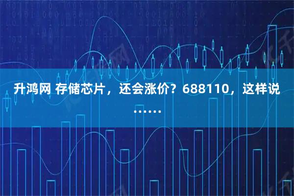 升鸿网 存储芯片，还会涨价？688110，这样说……
